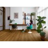 Винил LVT - Quick-Step 40315 Botanic caramel oak