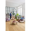 Винил LVT - Quick-Step 40316 Elegant oak natural