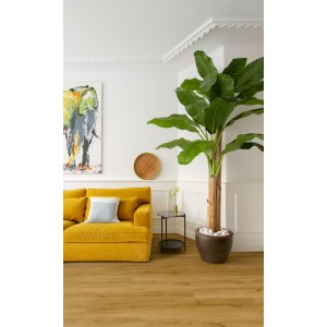 Винил LVT - Quick-Step 40238 Botanic smoked oak