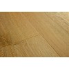Винил LVT - Quick-Step 40238 Botanic smoked oak